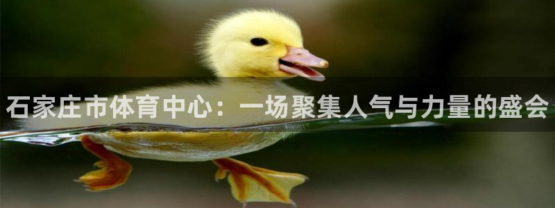 MK体育官网下载招商电话号码是多少号：石家庄市体育中