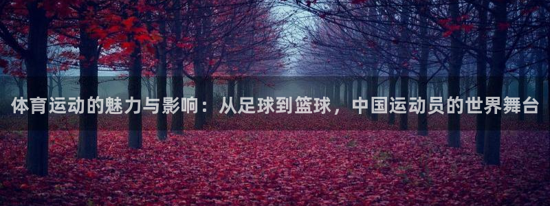 MK体育官方正版app娱乐首页网站大全：体育运动的魅