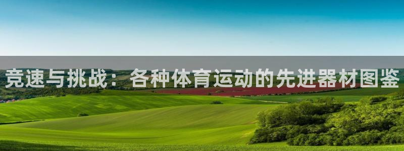 MK体育官网下载招商电话是多少：竞速与挑战：各种体育