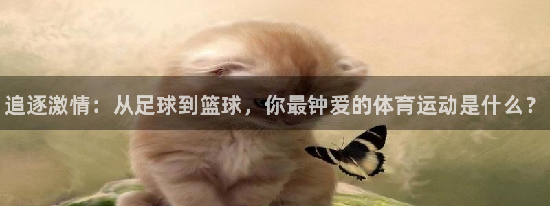 MK体育官方正版app集团logo：追逐激情：从足球