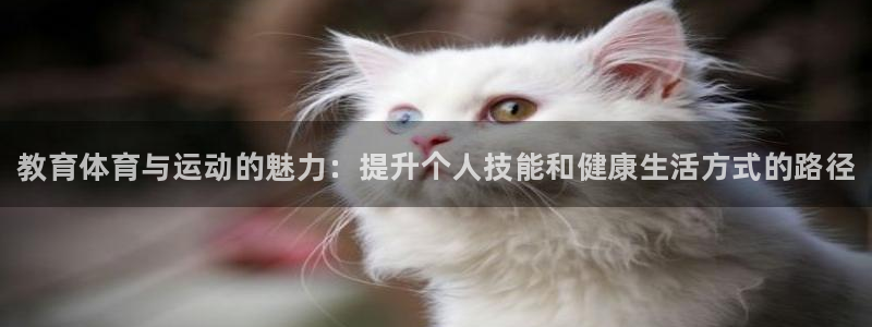 MK体育官方正版app集团官网网址：教育体育与运动的