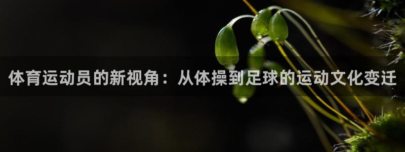 MK体育官网下载招商电话是多少：体育运动员的新视角：
