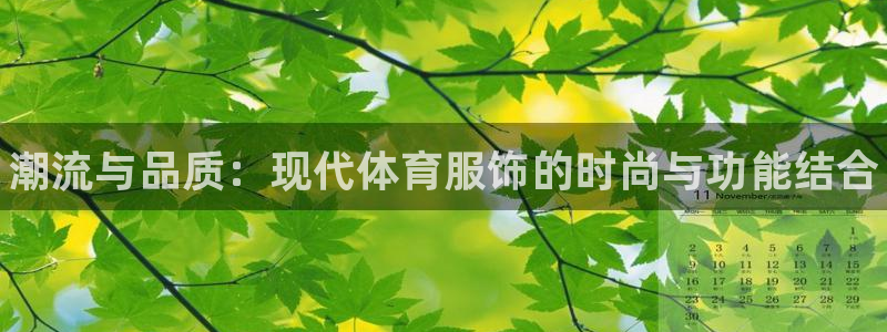 MK体育官方正版app开户：潮流与品质：现代体育服饰