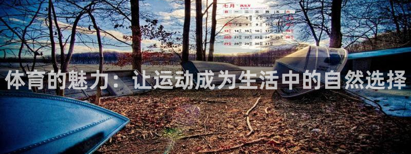 MK体育官网下载招商电话是多少啊：体育的魅力：让运动