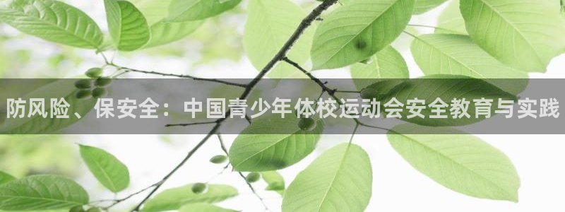 MK体育官网下载招商电话地址是多少：防风险、保安全：中国青少