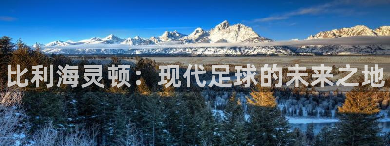 MK体育官网下载平台注册流程视频：比利海灵顿：现代足球的未来