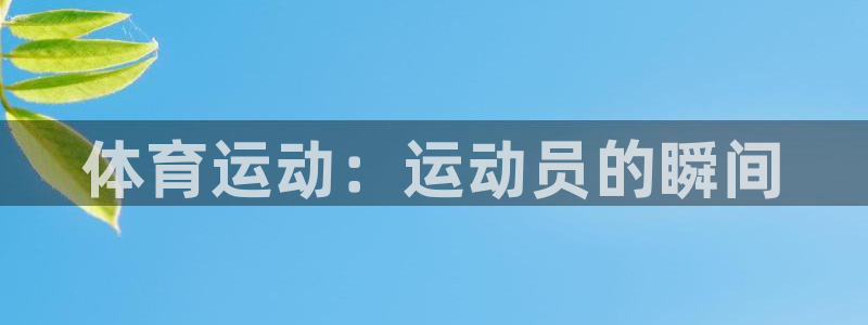 MK体育官方正版app官方：体育运动：运动员的瞬间