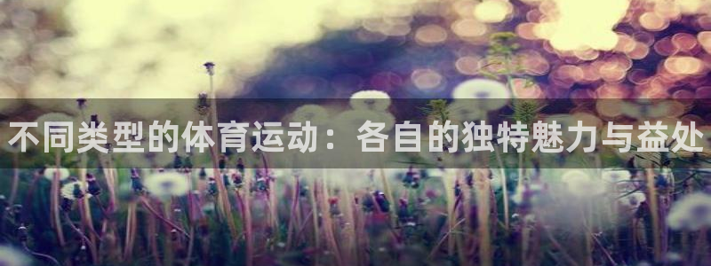 MK体育官方正版app娱乐平台：不同类型的体育运动：各自的独