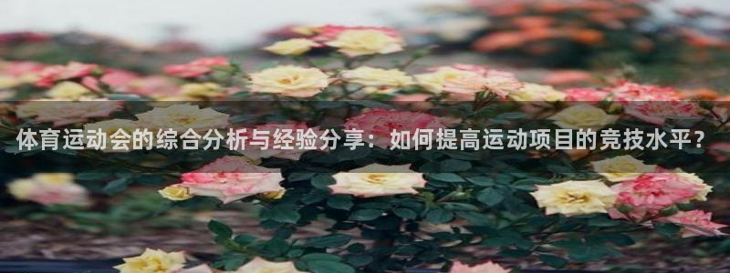 MK体育官方正版app开户：体育运动会的综合分析与经验分享：