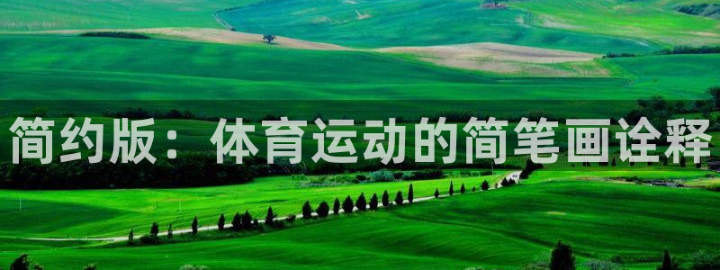MK体育官方平台体育：简约版：体育运动的简笔画诠释