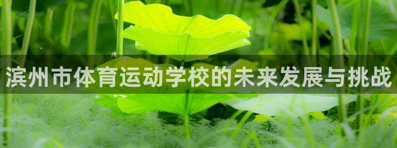 MK体育官网下载招商电话号码是多少：滨州市体育运动学